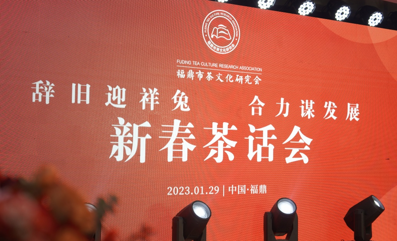 关于辞旧迎祥兔，合力谋发展  这场新春茶话会超有料！的资讯