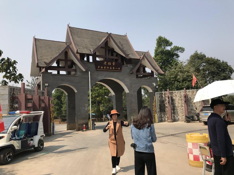 有关于2023年老班章春茶多少钱的资讯(1)