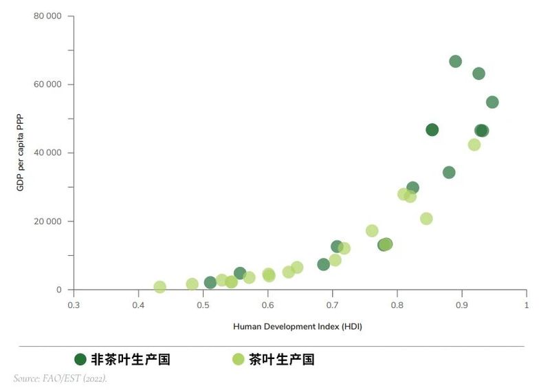 有关于联合国粮农组织：《国际茶叶市场：现状、前景及挑战》(上篇)的信息