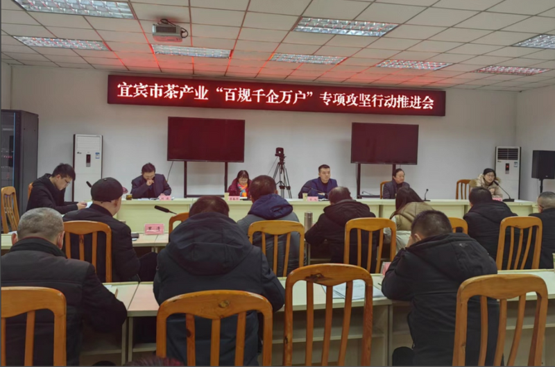 有关于宜宾全市茶产业“百规千企万户”专项攻坚行动再动员的相关内容