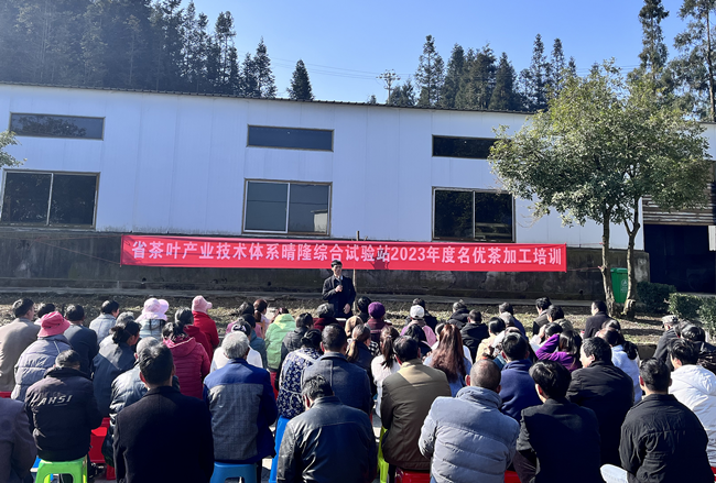 关于晴隆县茶叶产业发展中心到碧痕镇开展茶叶采摘等技术培训的最新消息