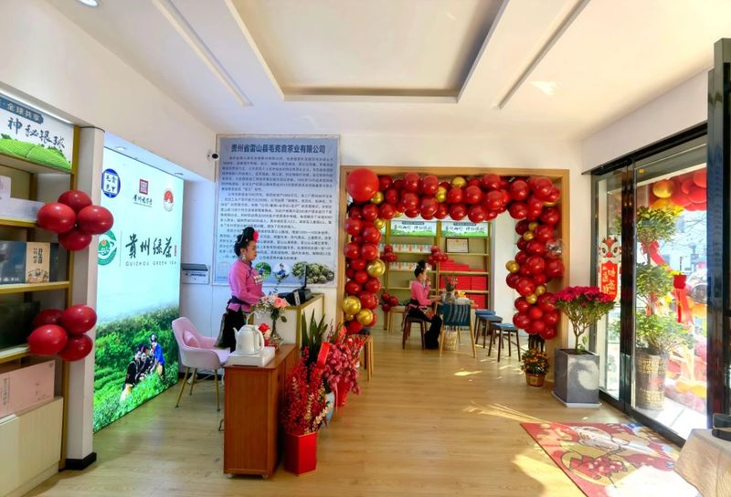 关于黔东南州凯里市新增10家“贵州绿茶”品牌店的相关内容(1)