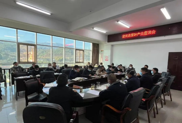 有关于梁河县组织召开茶产业发展座谈会的内容(3)