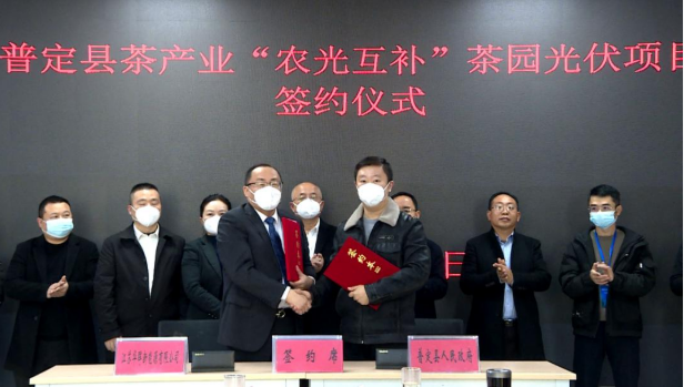 有关于普定县举行茶产业“农光互补”茶园光伏项目签约仪式的消息