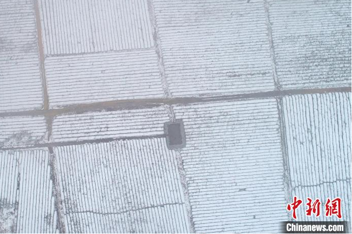 关于航拍江西金溪雪后茶园银装素裹的相关信息