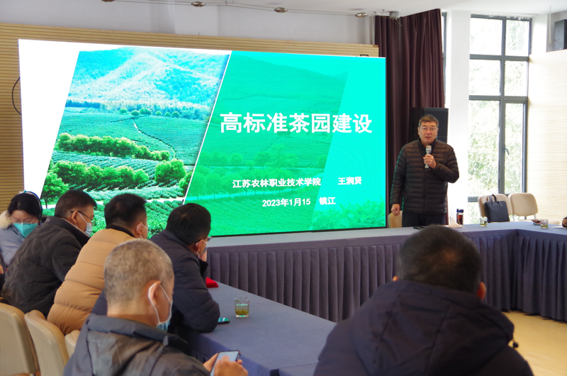 有关于江苏省茶叶学会理事长王润贤教授赴镇江开展茶叶技术培训的最新消息