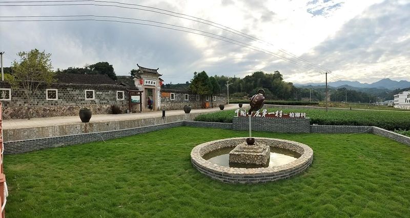 关于福鼎市点头镇柏柳村——中国白茶第一村的振兴之路的消息(1)