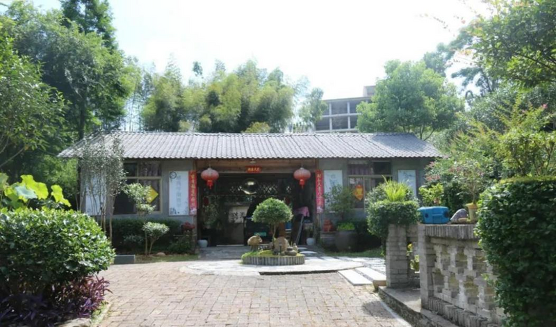 关于福鼎市点头镇柏柳村——中国白茶第一村的振兴之路的消息(4)