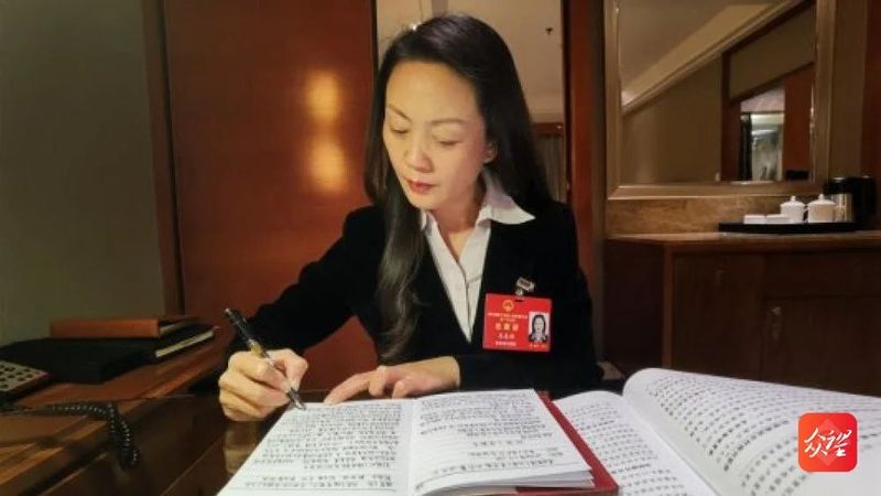 关于两会速递:快来听听这些黔茶代表的声音的信息(3)