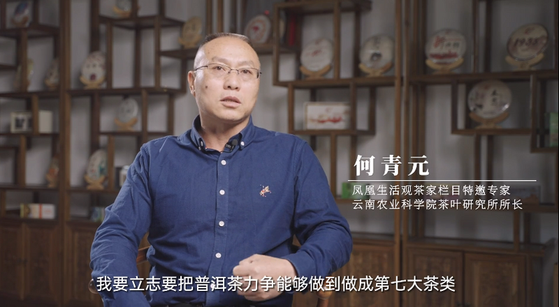 有关于何青元研究员：立志把普洱茶做成第七大茶类！的信息