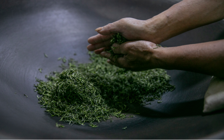 关于聚焦茶非遗！饮一杯“吓煞人香”的碧螺春的最新消息(2)