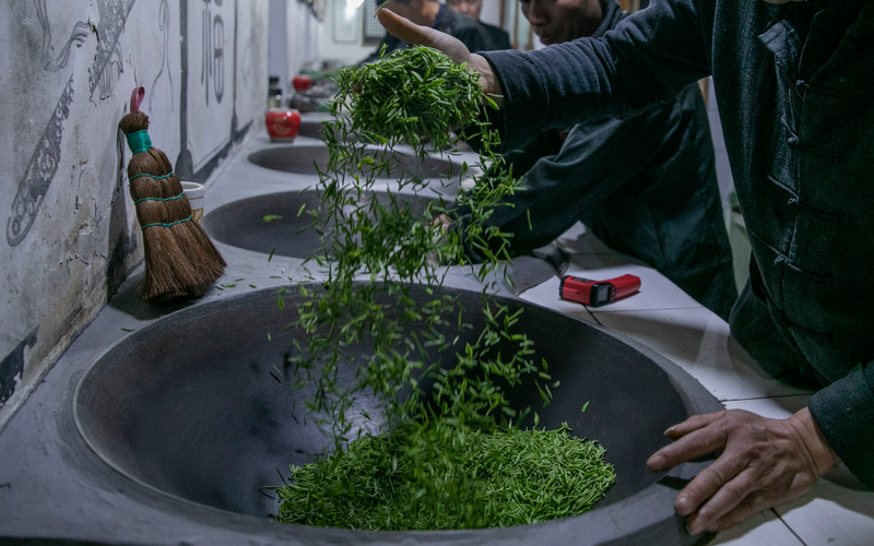 关于聚焦茶非遗！饮一杯“吓煞人香”的碧螺春的最新消息(1)