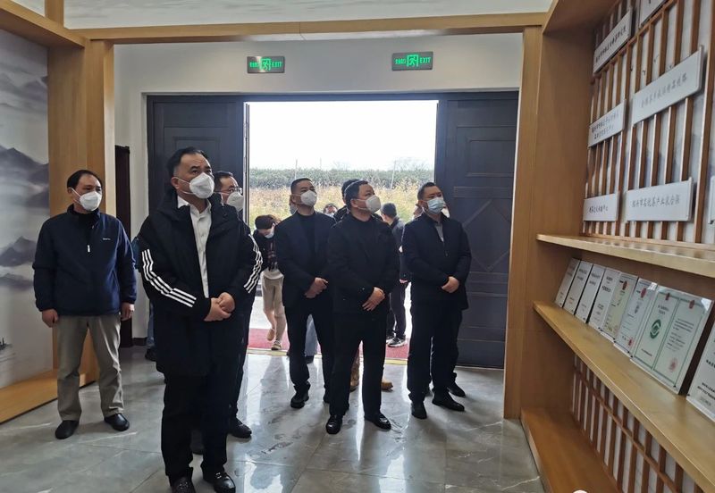 有关于大走访大调研大服务大解题,浙江省农业农村厅副厅长王宗明考察日铸茶品牌的相关信息