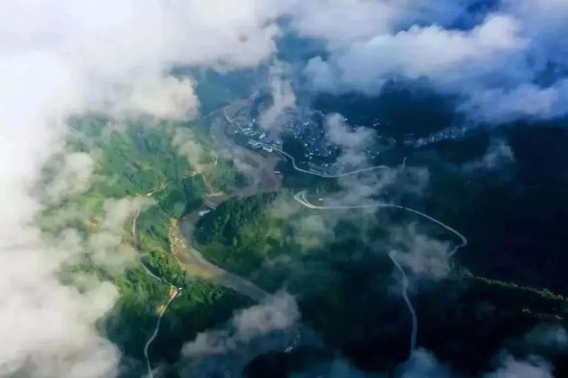 有关于武都区:“定制茶园”,做活裕河茶文章的相关信息