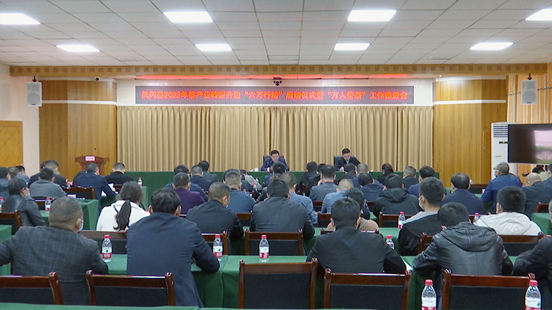 有关于凤冈举行2022年茶产业转型升级“六万行动”启动仪式暨“万人管茶”工作推进会的资讯