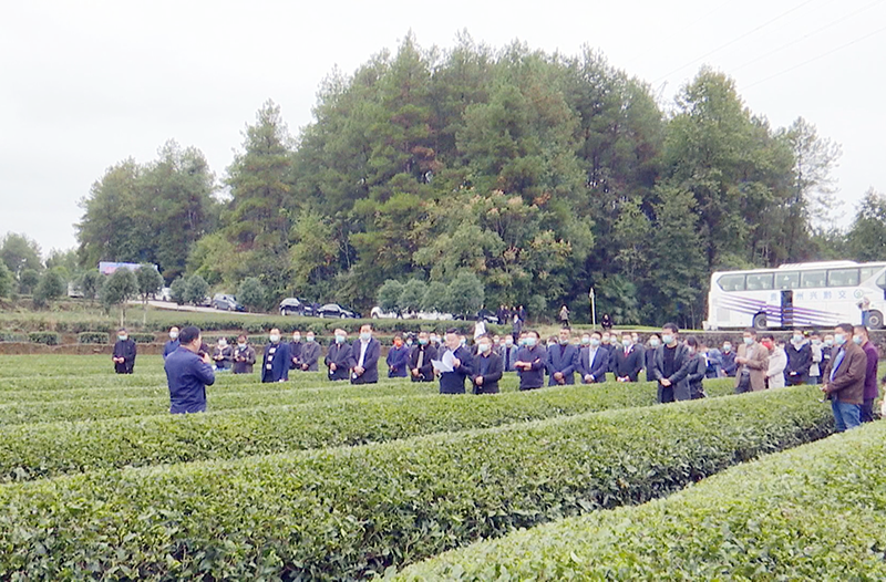 有关于凤冈举行2022年茶产业转型升级“六万行动”启动仪式暨“万人管茶”工作推进会的资讯(3)