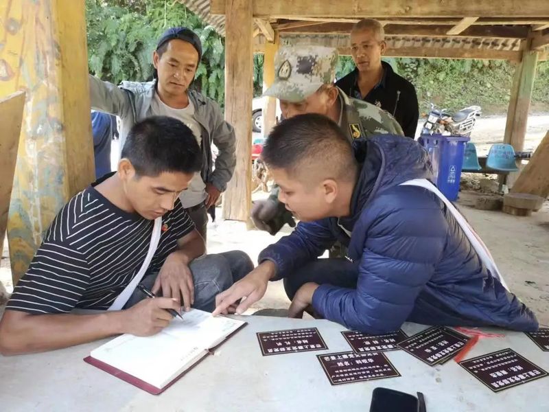 关于普洱澜沧惠民镇：共建有机乔木茶园 合推供电服务工作的最新消息(2)