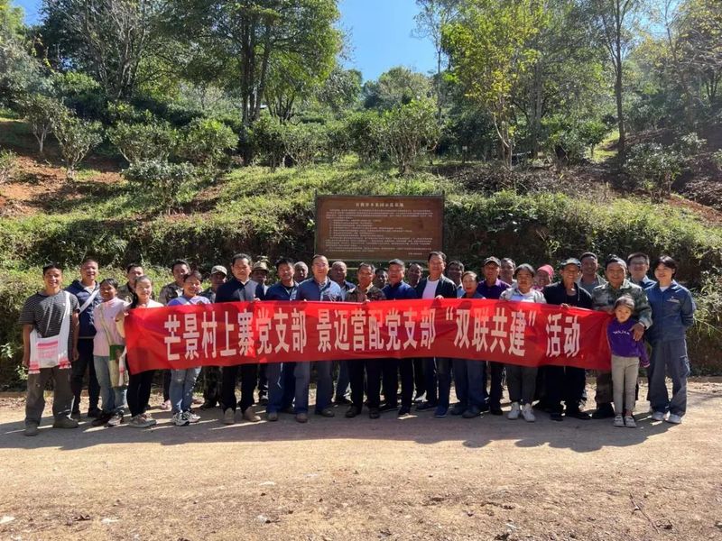 关于普洱澜沧惠民镇：共建有机乔木茶园 合推供电服务工作的最新消息