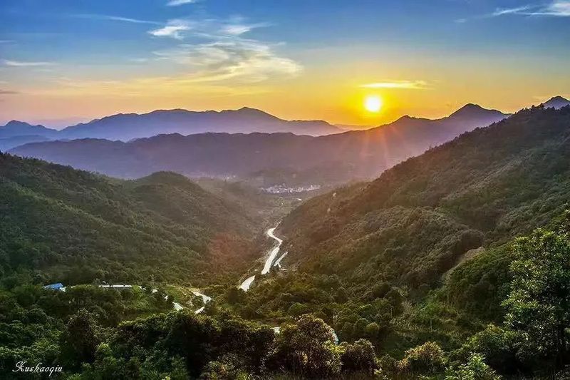 有关于漳州诏安:专家“组团”助力乡村茶产业振兴的内容