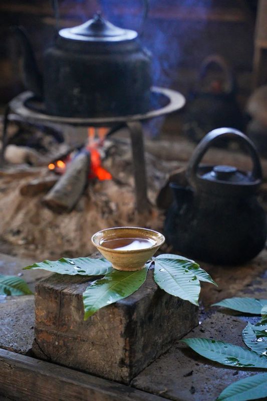 关于景迈山行：走近火塘烤茶，走进那些茶香浸润的日子的相关内容(1)