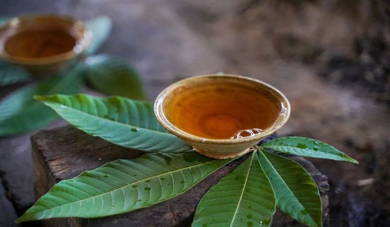 关于景迈山行：走近火塘烤茶，走进那些茶香浸润的日子的相关内容(4)