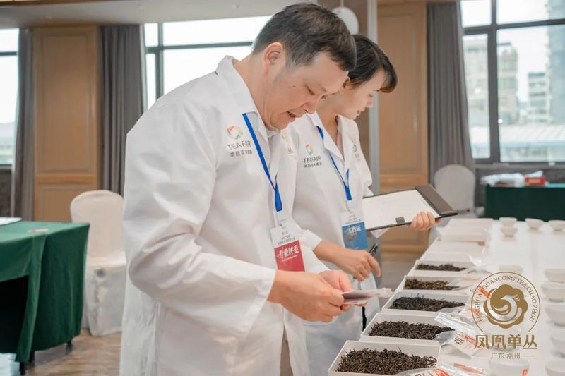 有关于星级认证,树立好茶标杆!2022“鼎承”凤凰单丛星级茶大赛结果揭晓!的消息(3)