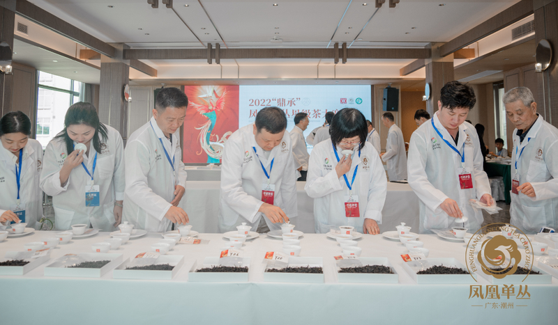 有关于星级认证，树立好茶标杆！2022“鼎承”凤凰单丛星级茶大赛结果揭晓！的消息(2)
