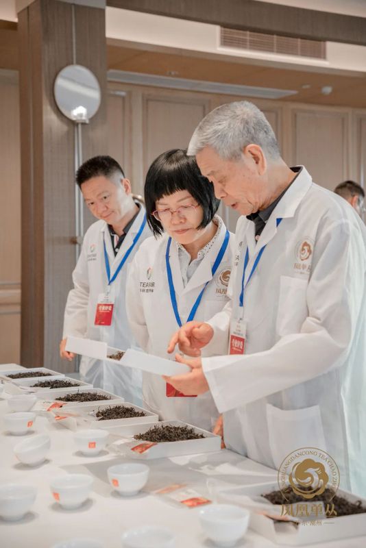 有关于星级认证，树立好茶标杆！2022“鼎承”凤凰单丛星级茶大赛结果揭晓！的消息(5)