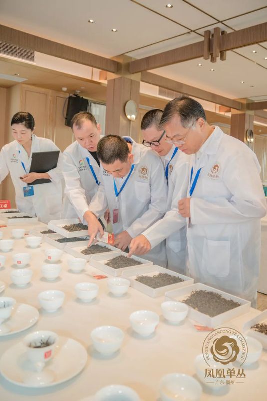 有关于星级认证，树立好茶标杆！2022“鼎承”凤凰单丛星级茶大赛结果揭晓！的消息(4)