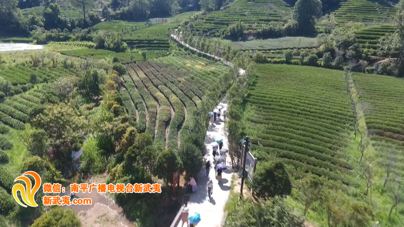 有关于武夷山的非凡十年:茶文旅融合,绿富美新城的内容(1)