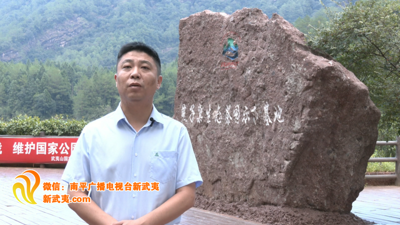 有关于武夷山的非凡十年:茶文旅融合,绿富美新城的内容(2)