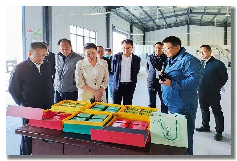 关于黄冈市政协副主席周银芝带队赴罗田县视察《湖北省促进茶产业发展条例》贯彻实施情况的信息