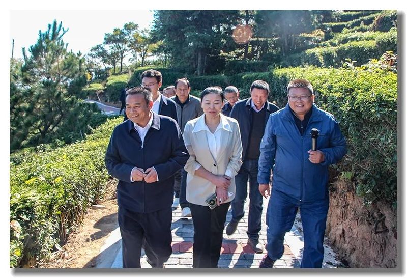 关于黄冈市政协副主席周银芝带队赴罗田县视察《湖北省促进茶产业发展条例》贯彻实施情况的信息(2)