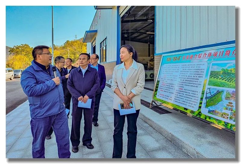 关于黄冈市政协副主席周银芝带队赴罗田县视察《湖北省促进茶产业发展条例》贯彻实施情况的信息(1)