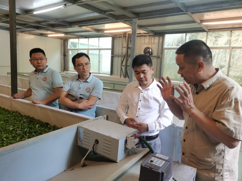 关于河源民进到紫金县开展茶产业高质量发展专题调研的资讯