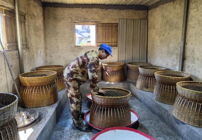 有关于祁门县芦溪乡：打响安茶品牌 振兴名茶产业的资讯