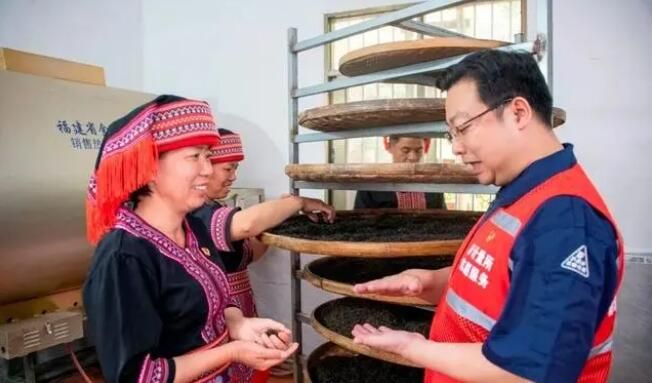 关于广西梧州:质量提升优服务 茶叶产业赋动能的资讯
