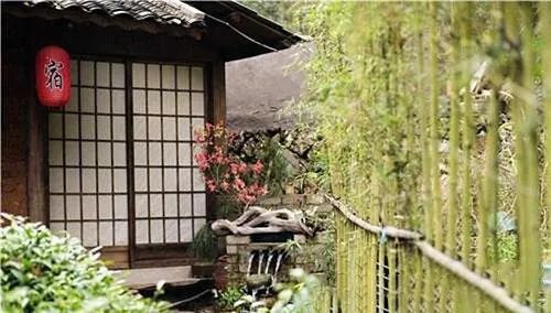 关于走遍大半个中国学茶艺 租山房改建民宿……景德镇姑娘袁鑫的创业故事的内容