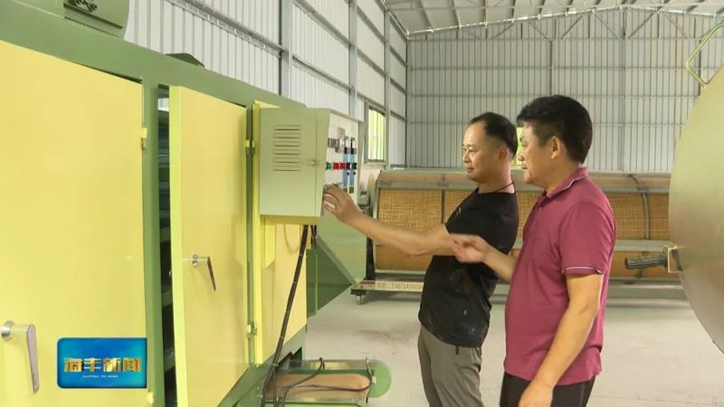 有关于海丰：加快现代茶产园建设 助力特色产业提质增效的内容(1)