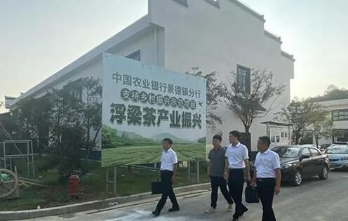有关于金融赋能浮梁县茶产业发展的相关内容
