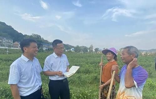 有关于金融赋能浮梁县茶产业发展的相关内容(3)