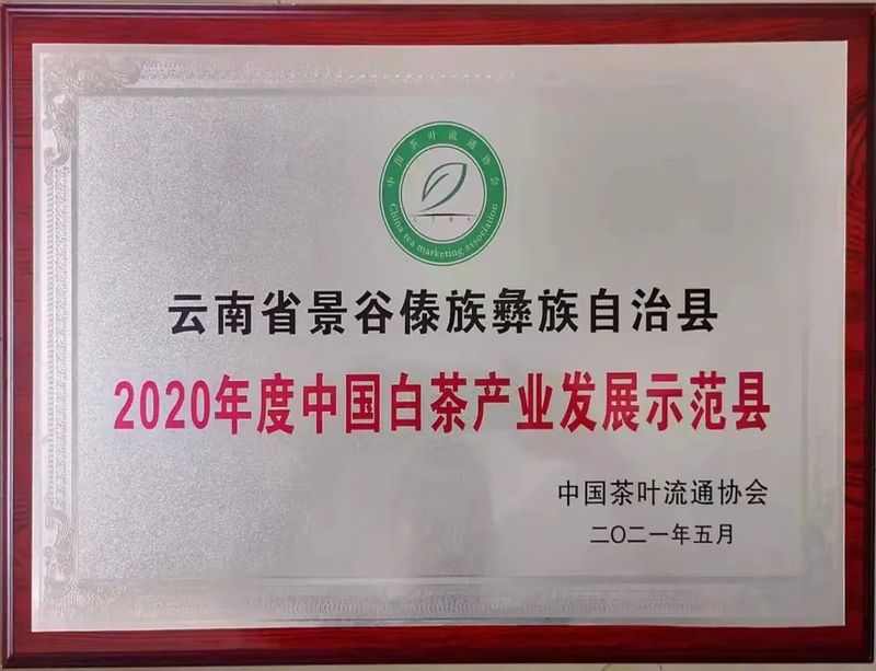 关于景谷：“绿叶子”变“金叶子” 加力提速茶产业高质量发展的新闻(10)