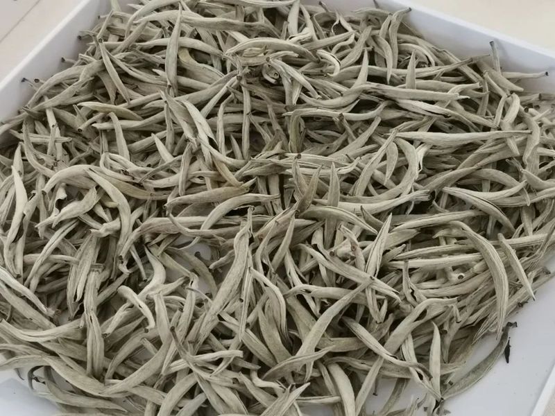 关于景谷：“绿叶子”变“金叶子” 加力提速茶产业高质量发展的新闻(9)