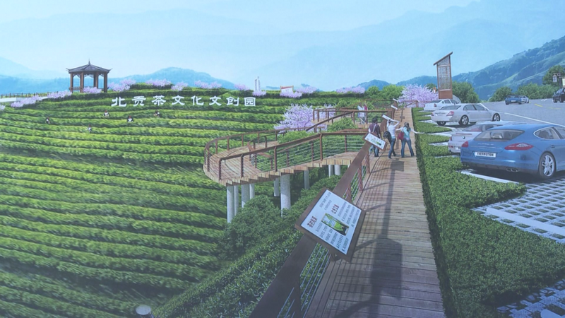 关于“2022武夷岩茶三大茶王”“白沙茶产业再获新荣誉”“普洱市推动低氟茶产业”的内容(6)