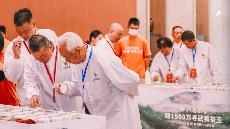 关于“2022武夷岩茶三大茶王”“白沙茶产业再获新荣誉”“普洱市推动低氟茶产业”的内容(4)