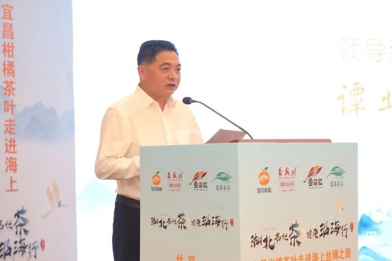 有关于长盛川的新闻(6)