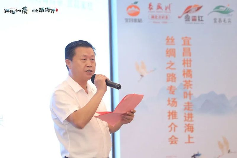 有关于长盛川的新闻(4)