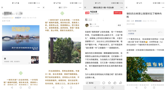 关于保山市县作协联手激活龙陵镇东“古树茶文化”的内容(10)