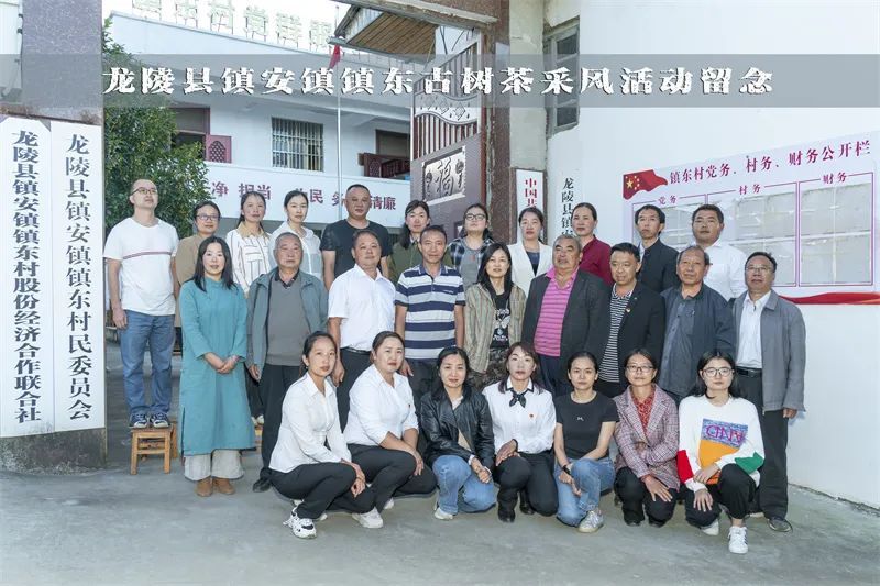 关于保山市县作协联手激活龙陵镇东“古树茶文化”的内容