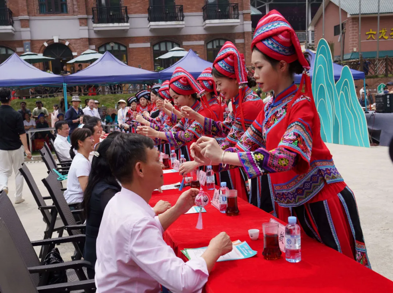 关于歌声悠扬 茶韵飘香！南丹第七届六龙茶文化旅游活动开幕的内容(10)